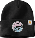 Carhartt Watch Cap 2.0